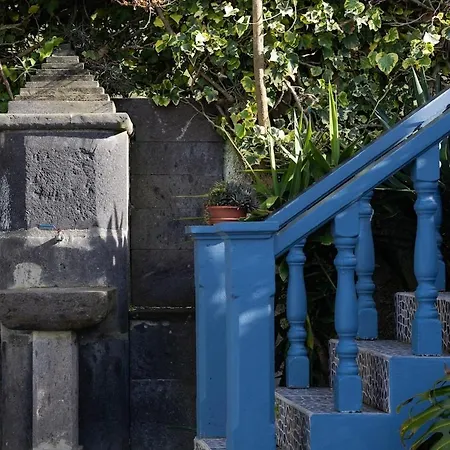 Acor Azul