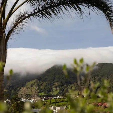 Acor Azul * Povoacao (Sao Miguel)